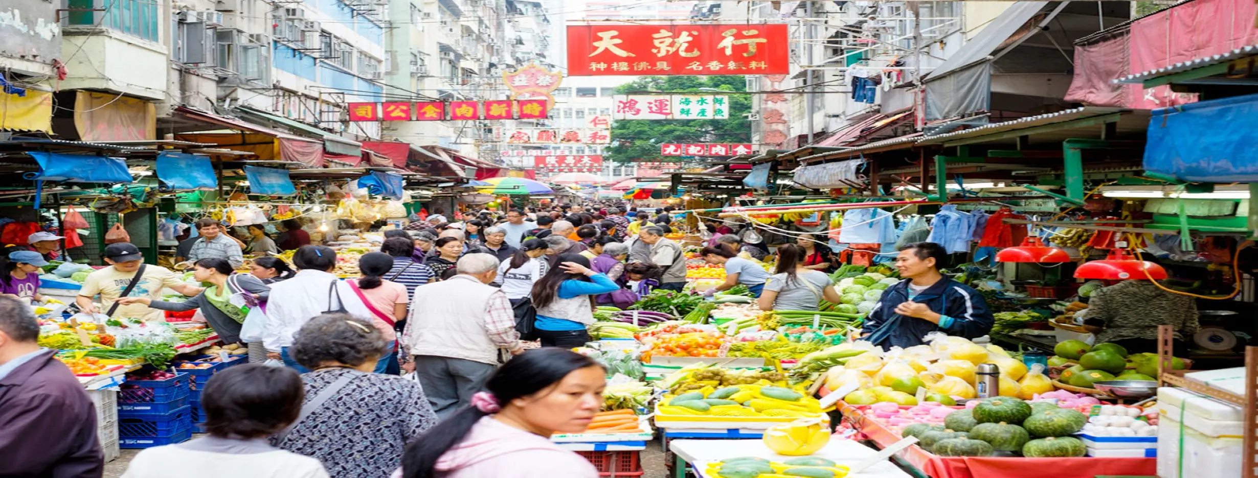 Image for Market Adventure